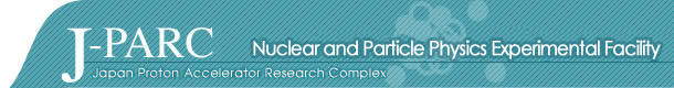 Nuclear and Particle Physics Facility