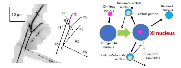 Internal structure of the Xi nucleus finally observed<br /> - New insights into the formation of nuclei and the structure of neutron stars -