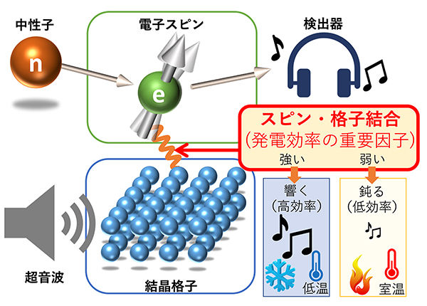 スピンの響き、超音波で奏でて中性子で聴く<br /> - 超音波と中性子を組み合わせた新手法でスピンによる発電の効率因子を特定 -