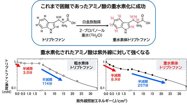 重水素で進化するアミノ酸<br />- 水素の同位体「重水素」が紫外線に負けないアミノ酸を生み出す -