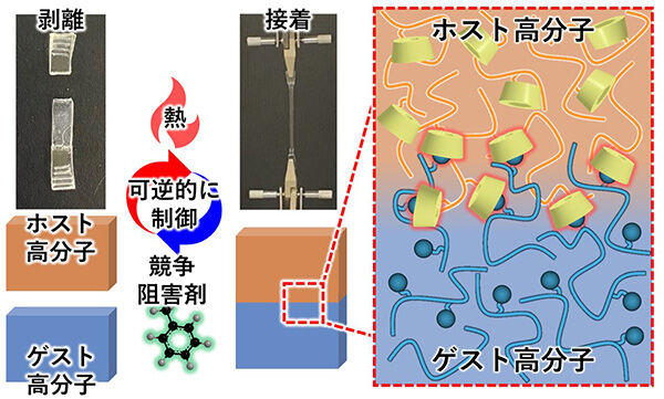 中性子で界面構造を解明<br />- 