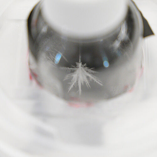 J-PARC News 第244号