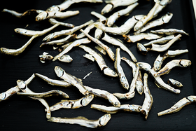 J-PARC-HP05_HP_DSC03828