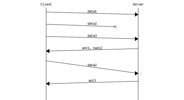 msc {
arcgradient = 8;

a [label="Client"],b [label="Server"];

a=>b [label="data1"];
a-xb [label="data2"];
a=>b [label="data3"];
a<=b [label="ack1, nack2"];
a=>b [label="data2", arcskip="1"];
|||;
a<=b [label="ack3"];
|||;
}