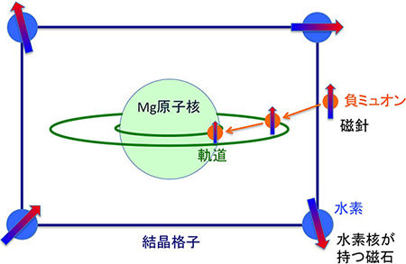 MgH2試料に打ち込まれた負ミュオンは、Mg原子に捕獲され、外側の電子軌道から内側の電子軌道に落ち込む